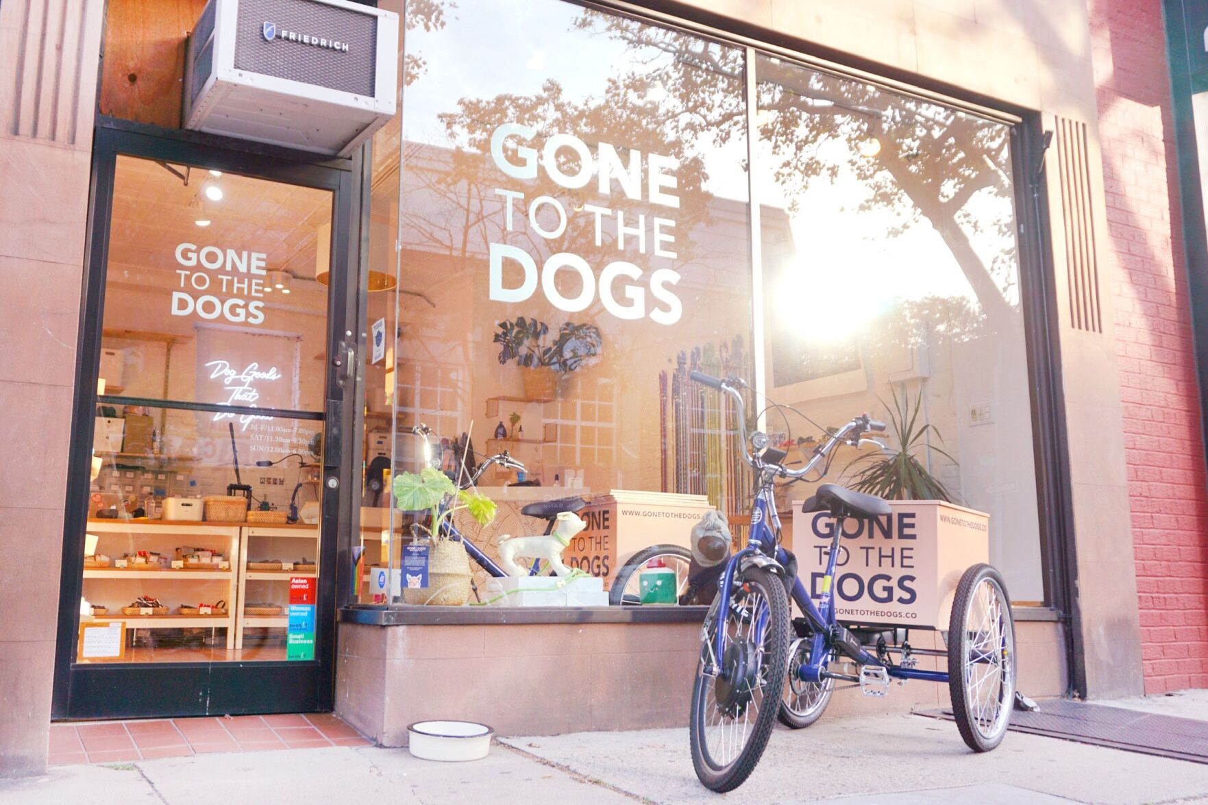 gone to the dogs.jpeg